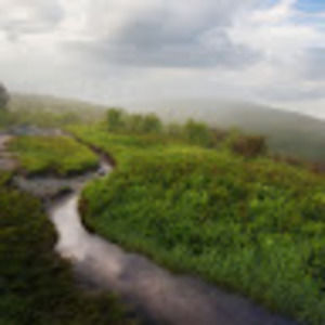 Meet your Posher, Grant